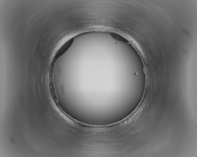 X0000112051381200908040941