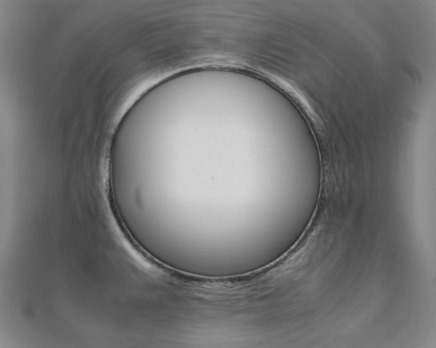 X0000112051383200908040941