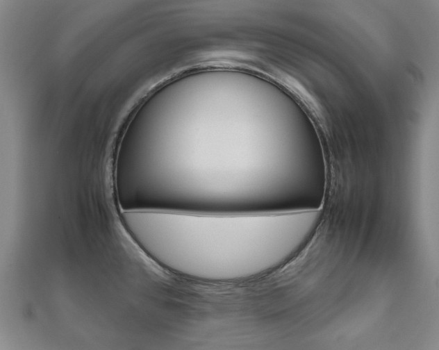X0000112051384200908040941