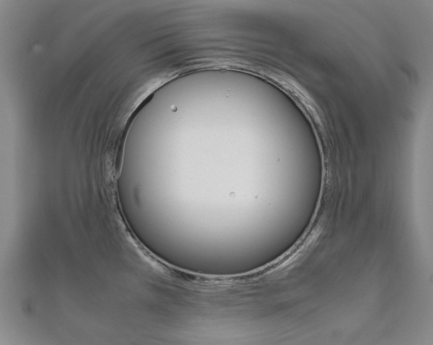 X0000112051385200908040941