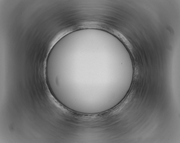 X0000112051386200908040941