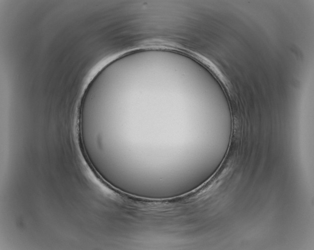 X0000112051387200908040941