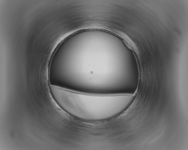 X0000112051388200908040941