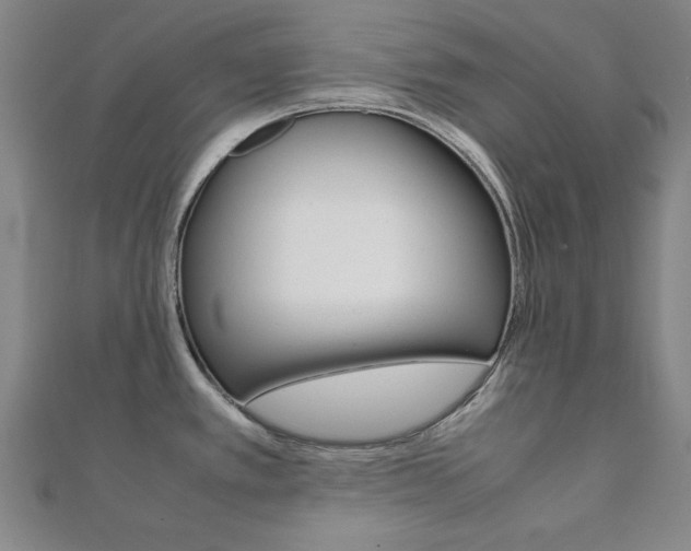 X0000112051389200908040941