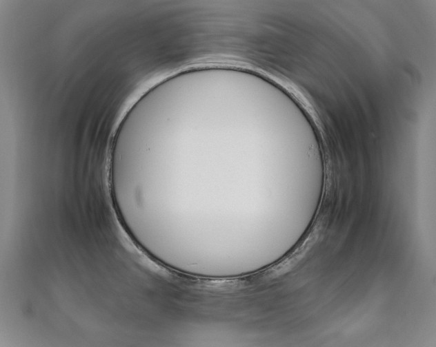 X0000112051390200908040941