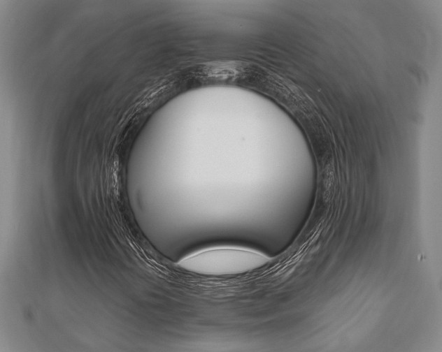 X0000112051394200908040940