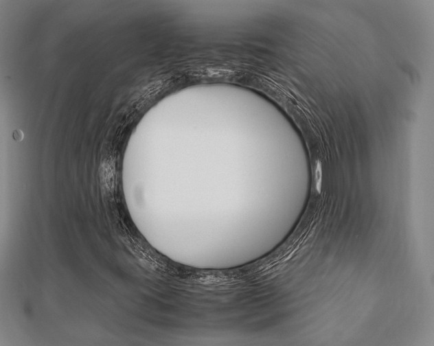 X0000112051395200908040940