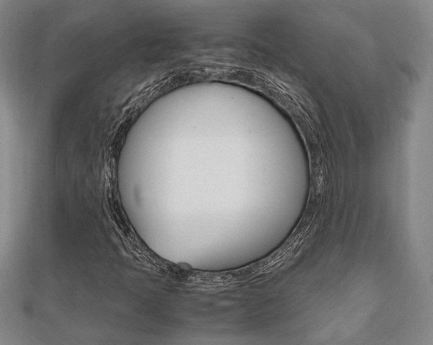 X0000112051397200908040940