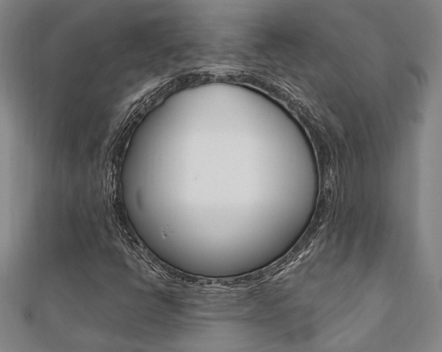 X0000112051398200908040940