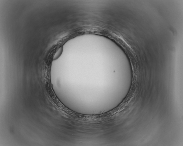 X0000112051399200908040940