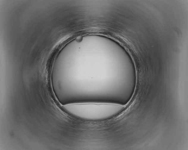 X0000112051402200908040940