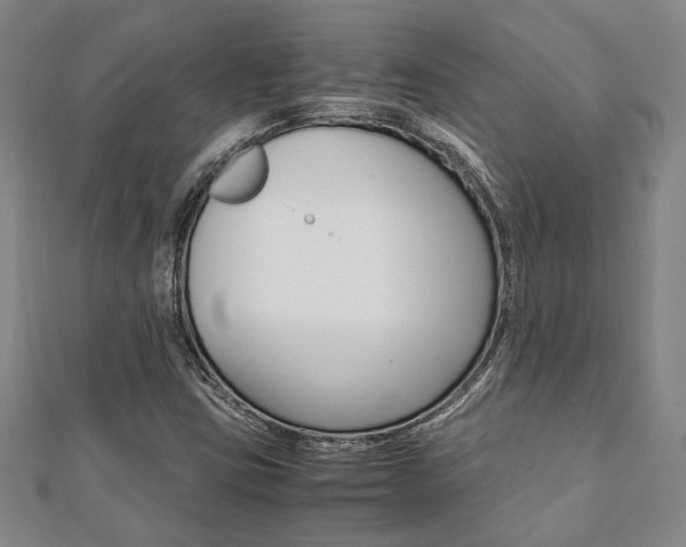 X0000112051403200908040940