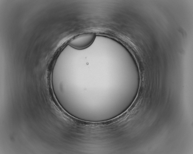 X0000112051404200908040940