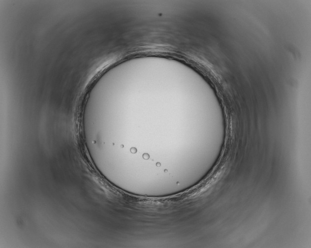 X0000112051405200908040940