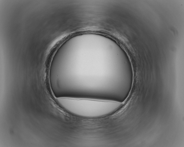 X0000112051406200908040940