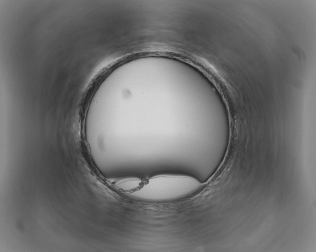 X0000112051408200908040940
