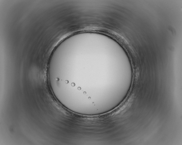 X0000112051409200908040940