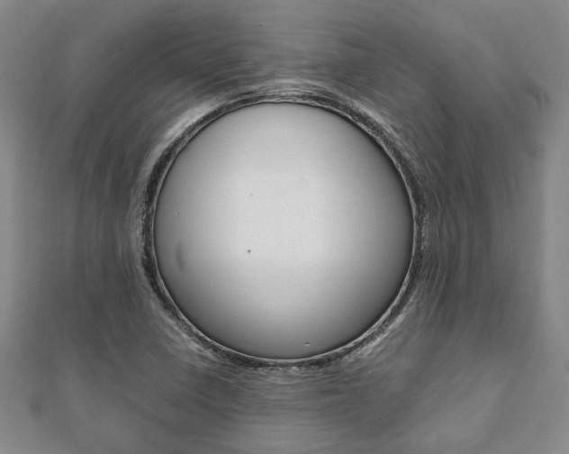 X0000112051410200908040940