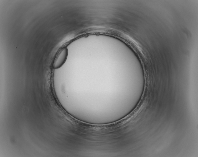 X0000112051411200908040940