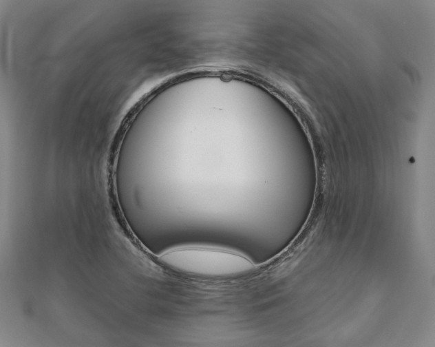 X0000112051412200908040940