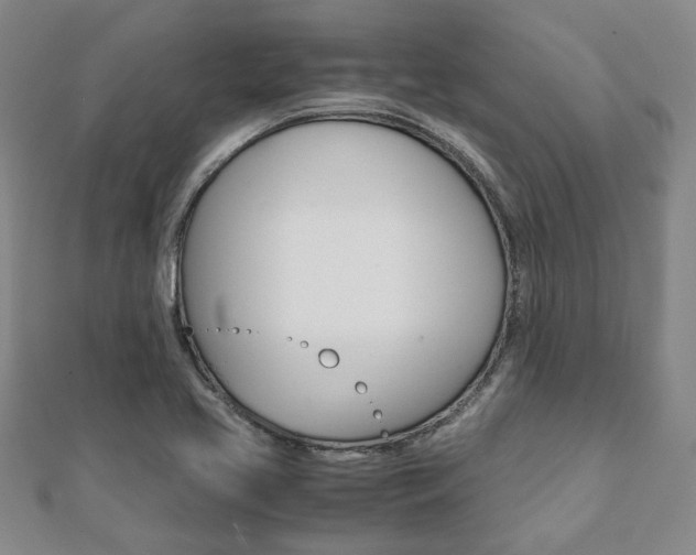 X0000112051413200908040940