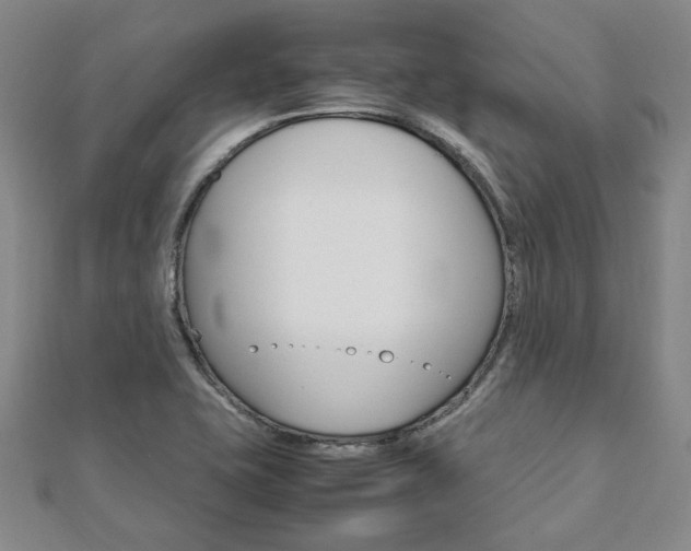 X0000112051415200908040940