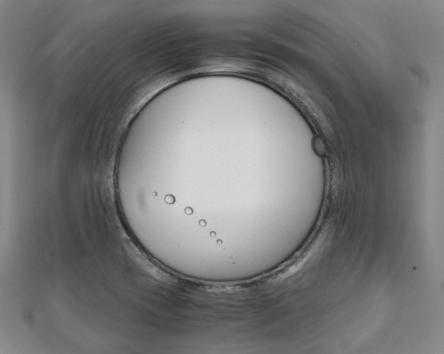X0000112051417200908040940