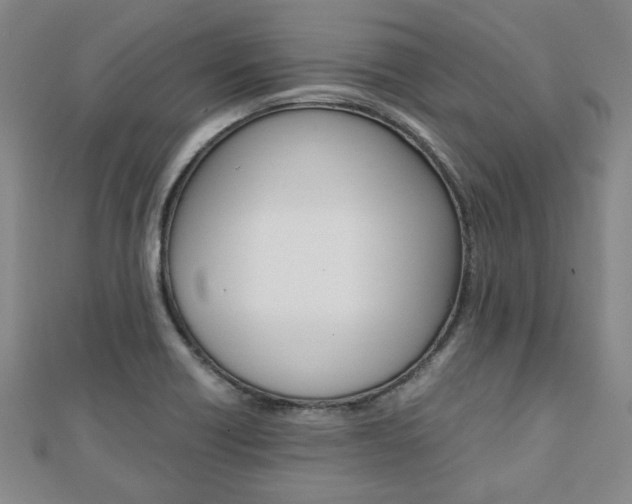 X0000112051418200908040940