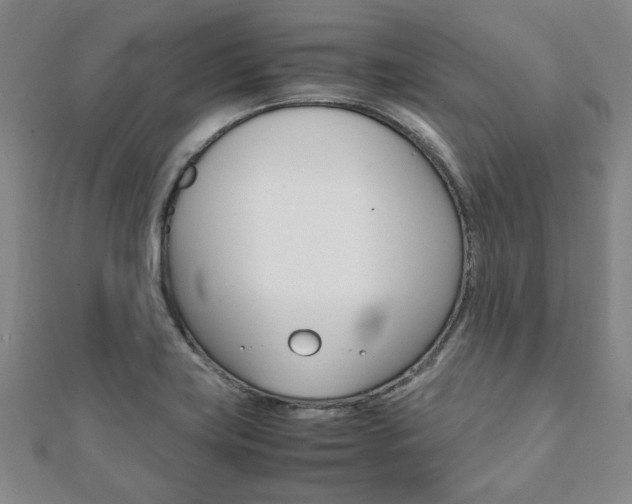 X0000112051419200908040940