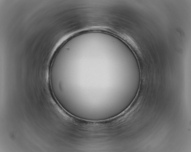 X0000112051420200908040940