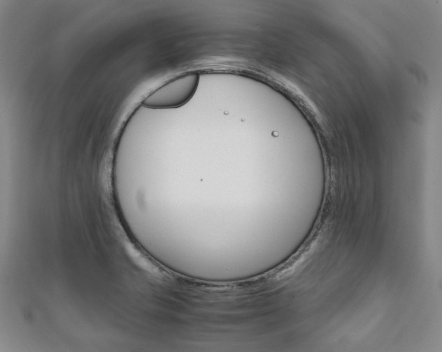X0000112051421200908040940
