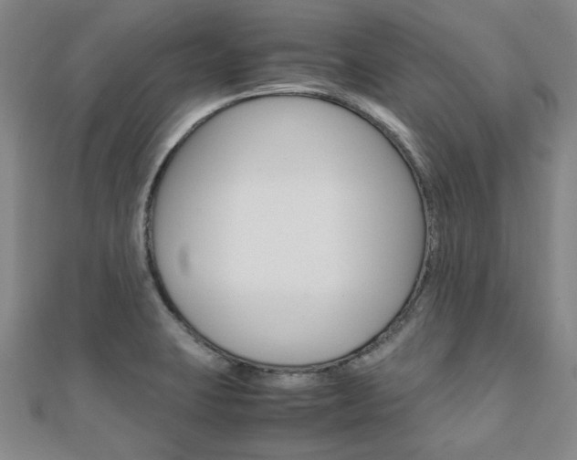 X0000112051423200908040940