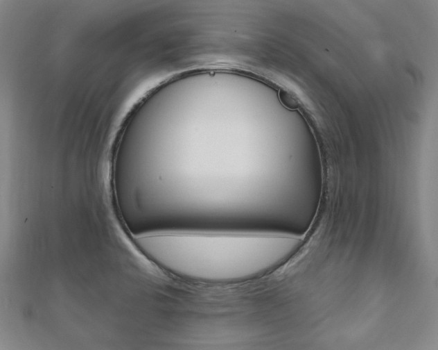 X0000112051424200908040940