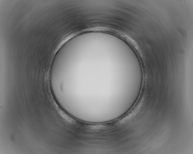 X0000112051425200908040940