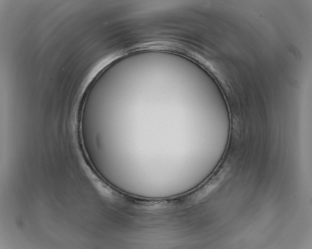 X0000112051426200908040940