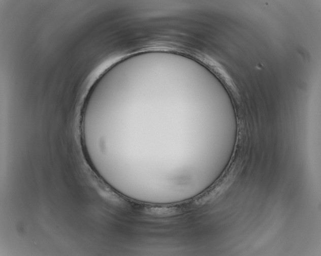 X0000112051427200908040940
