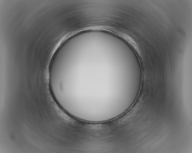 X0000112051428200908040940