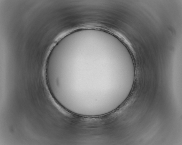 X0000112051429200908040941
