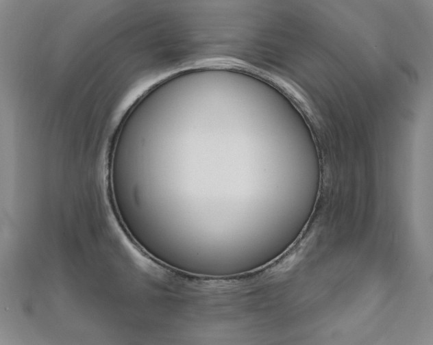 X0000112051430200908040941