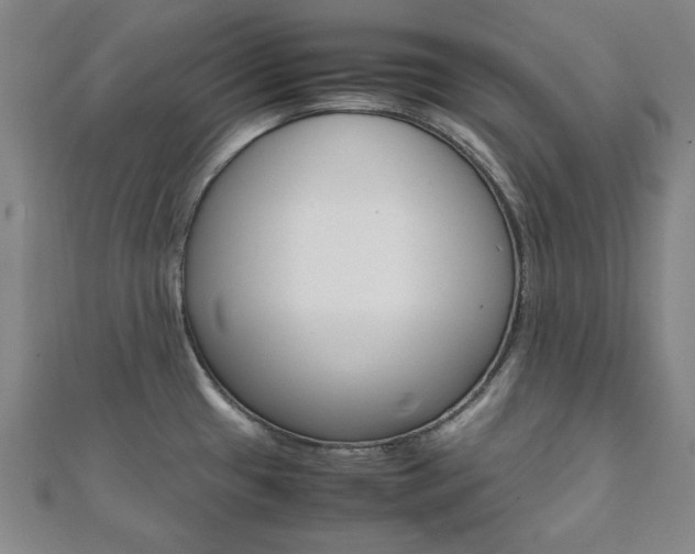 X0000112051433200908040941