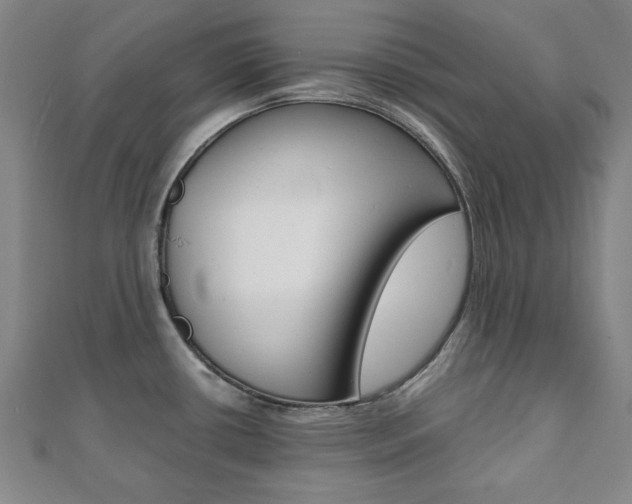 X0000112051434200908040941
