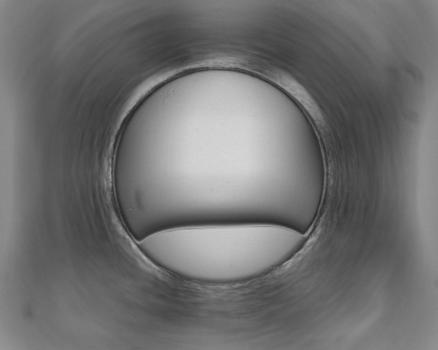 X0000112051436200908040941