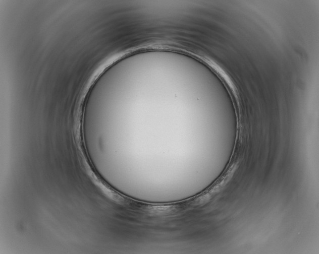 X0000112051437200908040941