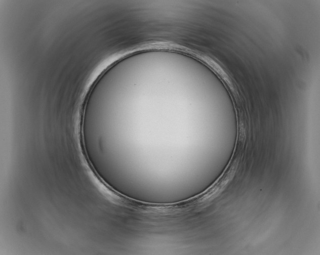 X0000112051438200908040941