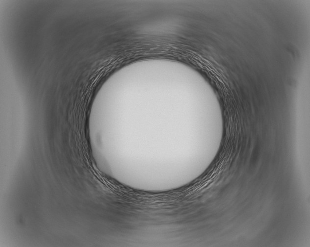 X0000112051441200908040940