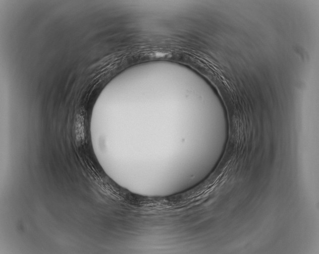 X0000112051442200908040940