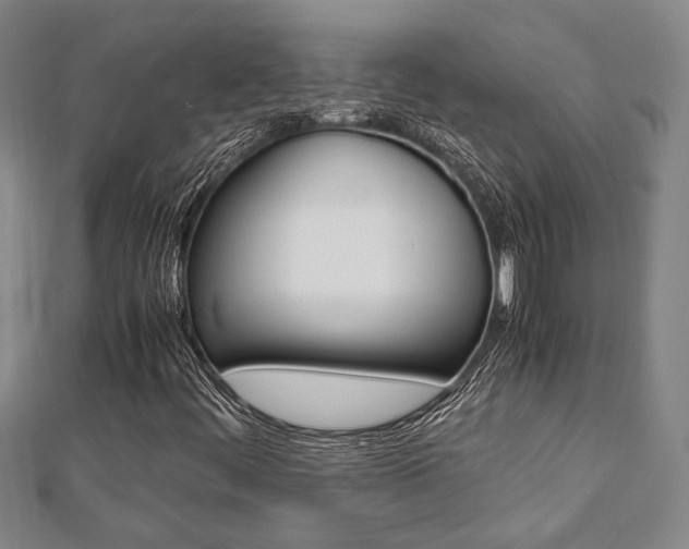 X0000112051444200908040940