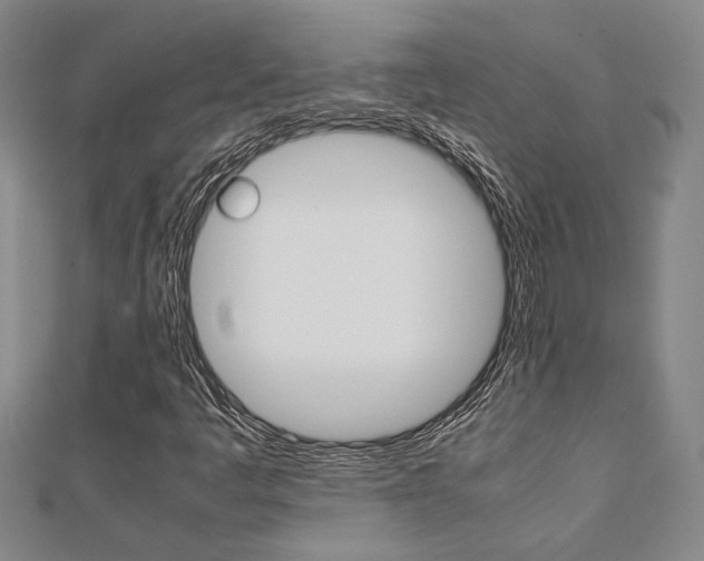 X0000112051445200908040940