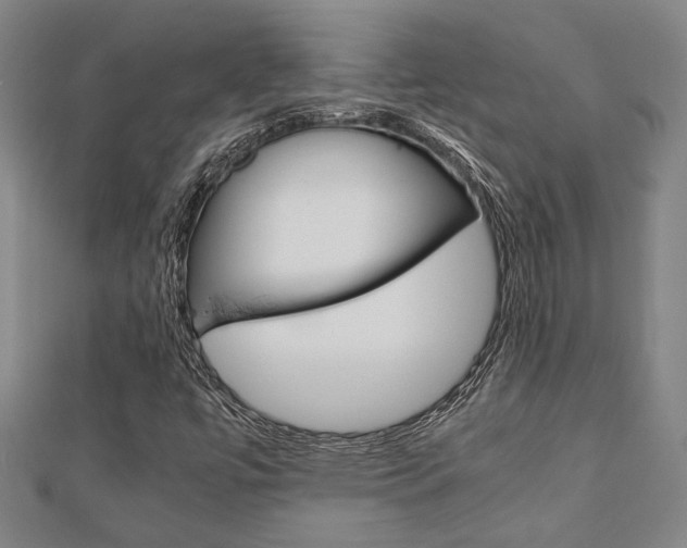 X0000112051447200908040940