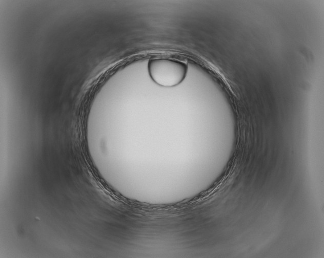 X0000112051448200908040940